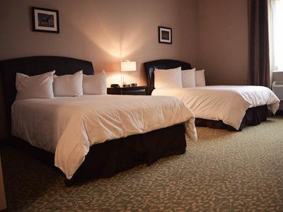 Belvedere Inn Schenectady - Albany الغرفة الصورة