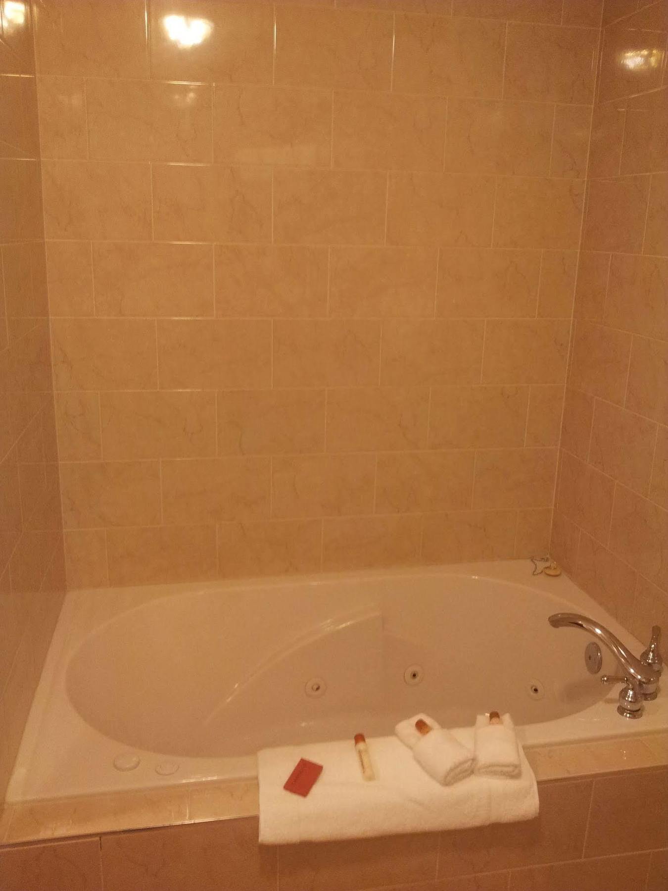 Belvedere Inn Schenectady - Albany المظهر الخارجي الصورة